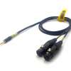 Sonic Plumber Black and Gold Twin XLR Female to 3.5mm (1/8") EP Stereo Cable